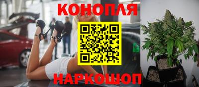 Альфа ПВП Старая Купавна