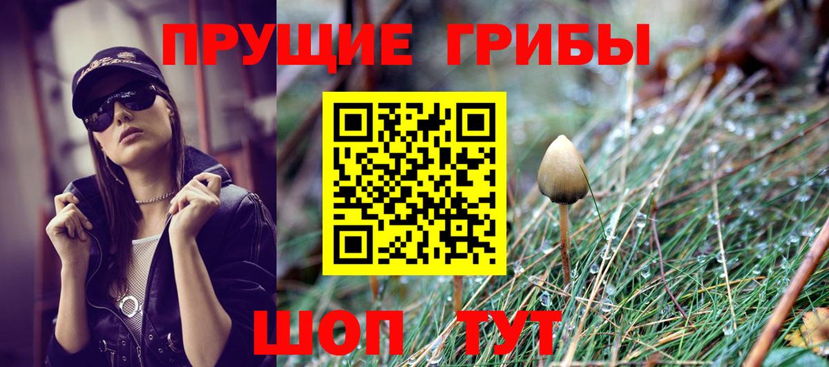 Псилоцибиновые грибы MAGIC MUSHROOMS  Вход с VPN  Южно-Сахалинск 